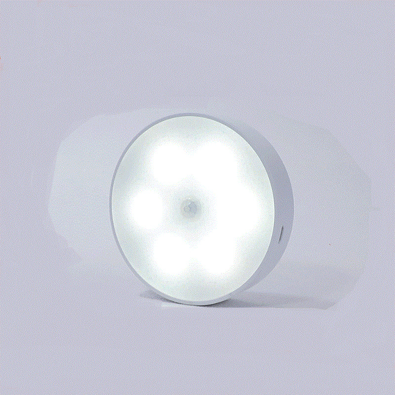 Motion sensor light glowing cool white